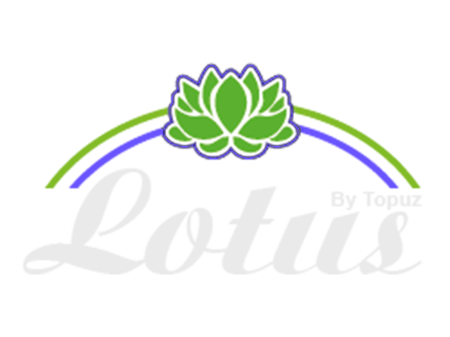 Lotus Terlik